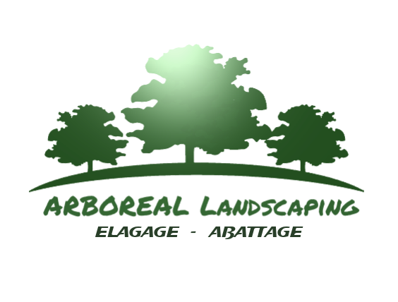 ARBOREAL ELAGAGE